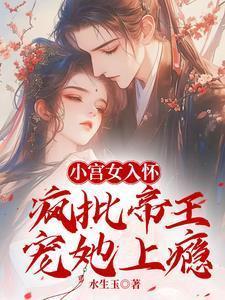 小宫女皇上的