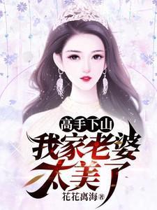高手下山我的美女老婆们免费阅读