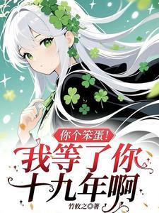 你个笨蛋歌曲