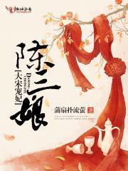 穿越大宋宠妃的