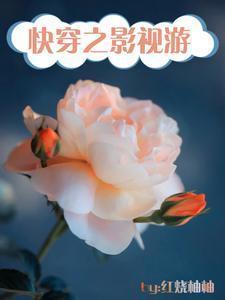 快穿影视综之NHP免费阅读